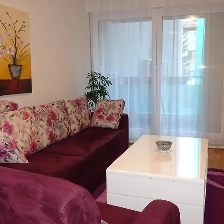 Quiet In Center, Free Private Parking * Saraybosna